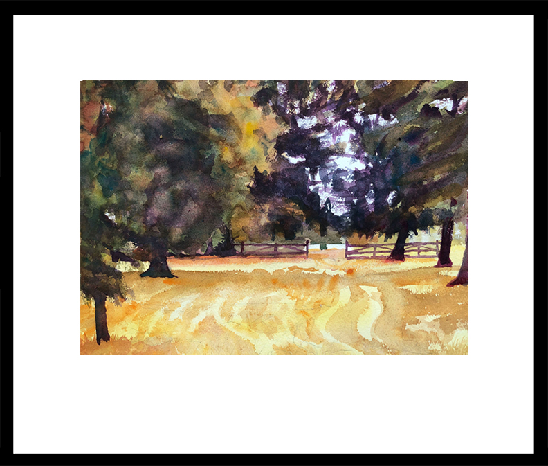 15 x 11