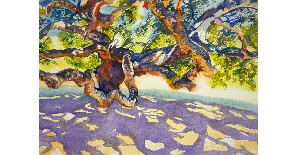 Meadow Oak