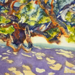 Meadow Oak
